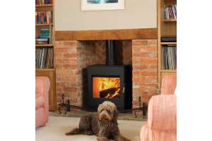 Burley Swithland Eco Excel 8kw wood burning stove 9308