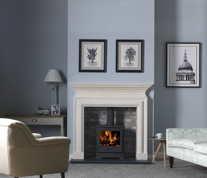 Penman Bassington Multifuel Stove