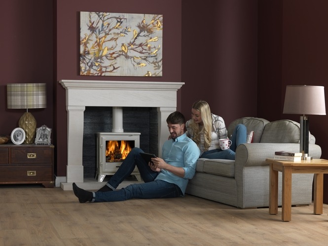 Penman Bassington Multifuel Stove