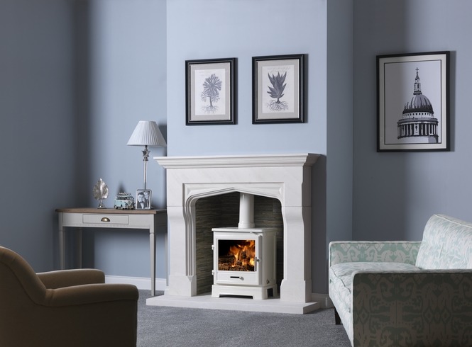 Penman Bassington Multifuel Stove