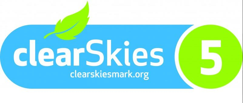 PureVision Linear LPV5 3 sided wood burning stove